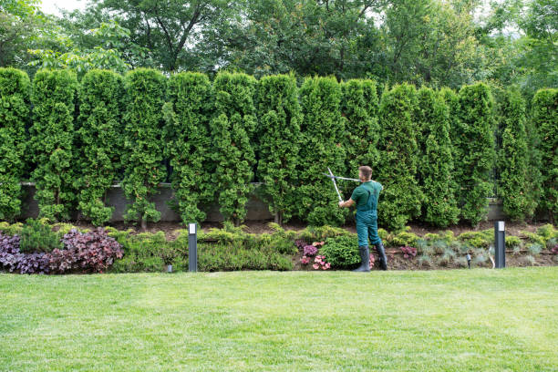 Lawn Watering Services in Upper Arlington, OH